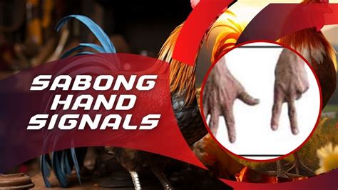 hand sign sa sabong|SABONG / COCKFIGHTING 101 / Philippines for the .